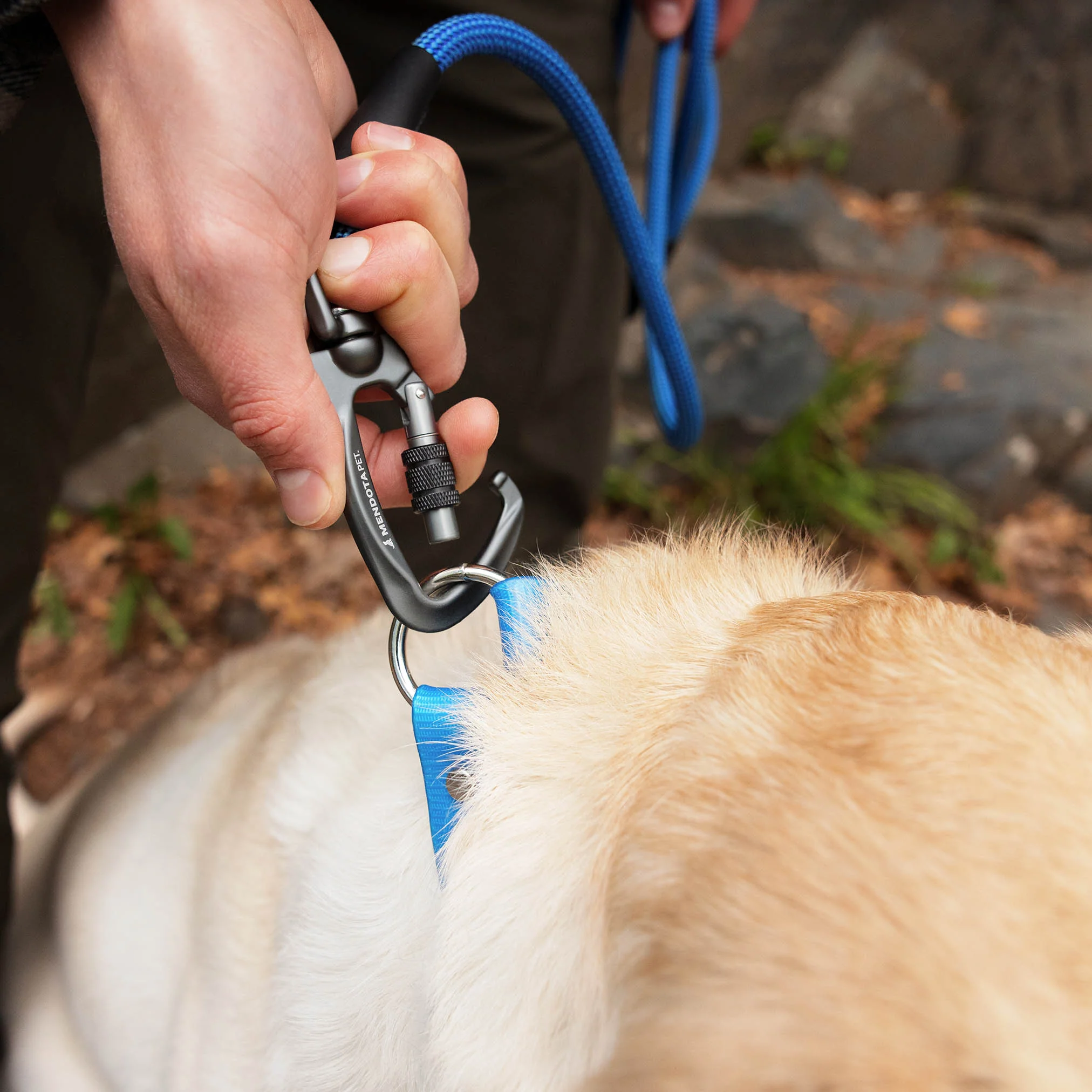 Elite Series Leash - Inspired by Rugged Climbing Rope - Image 3