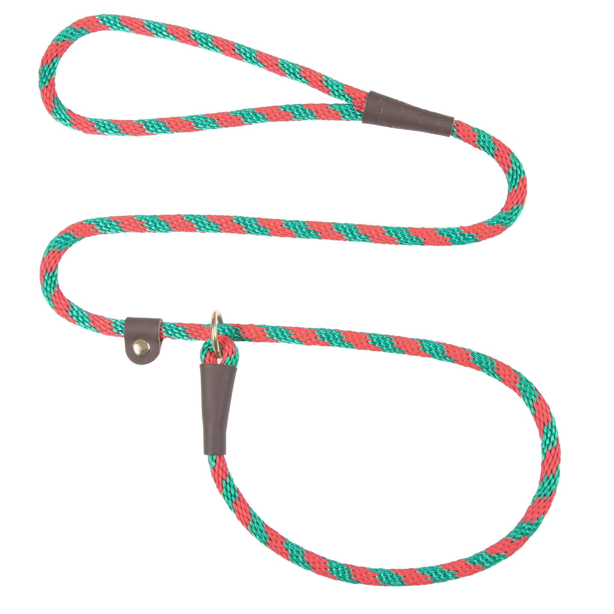 Holiday/Seasonal Fun Leashes - Image 17