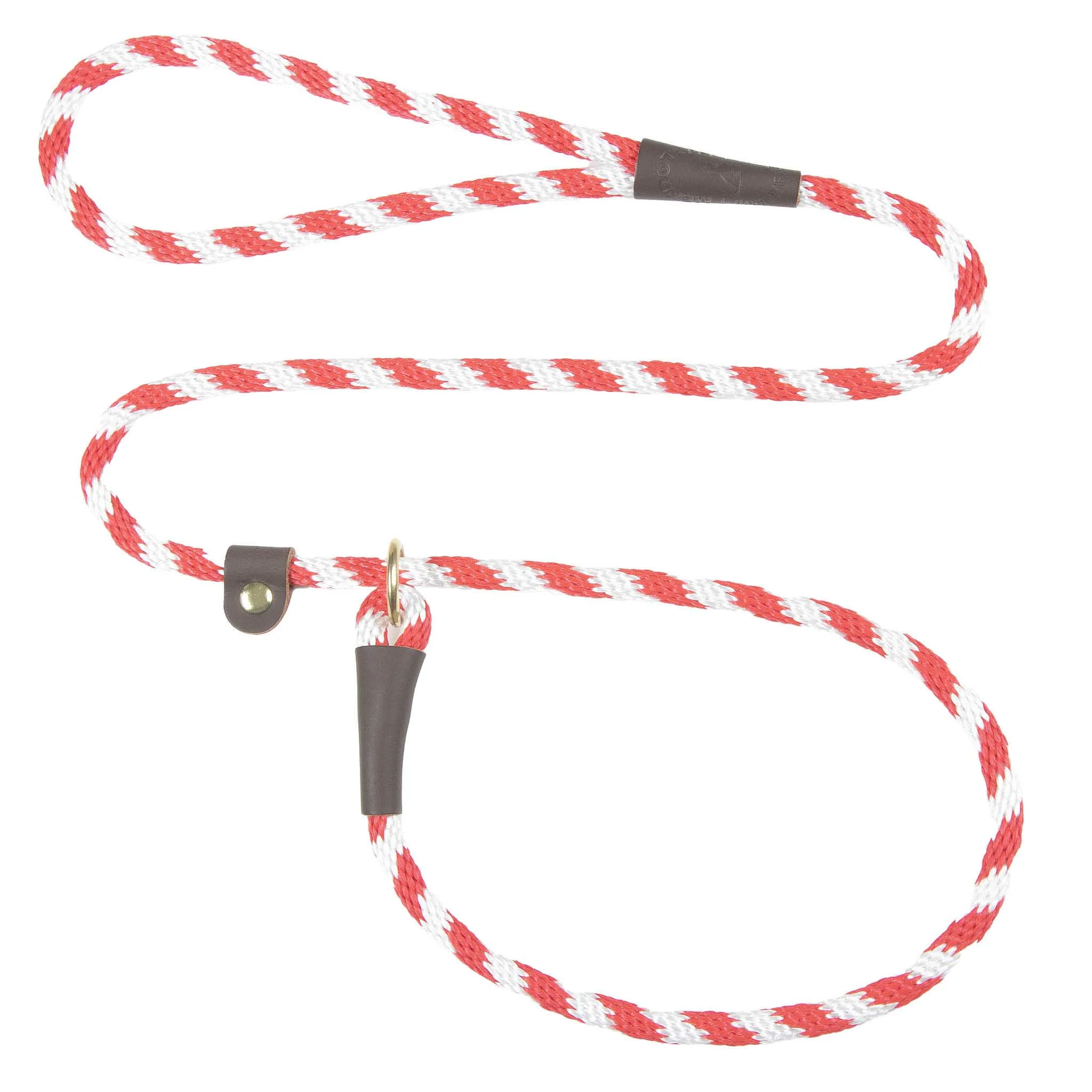 Holiday/Seasonal Fun Leashes - Image 18
