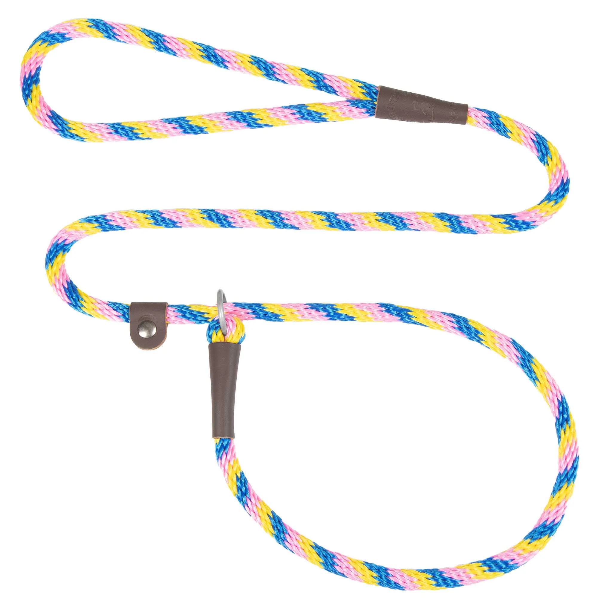 Holiday/Seasonal Fun Leashes - Image 20