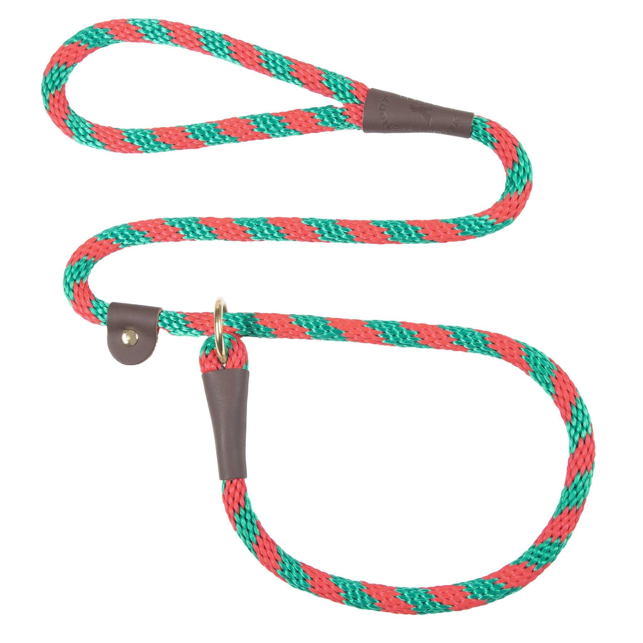 Holiday/Seasonal Fun Leashes - Image 22