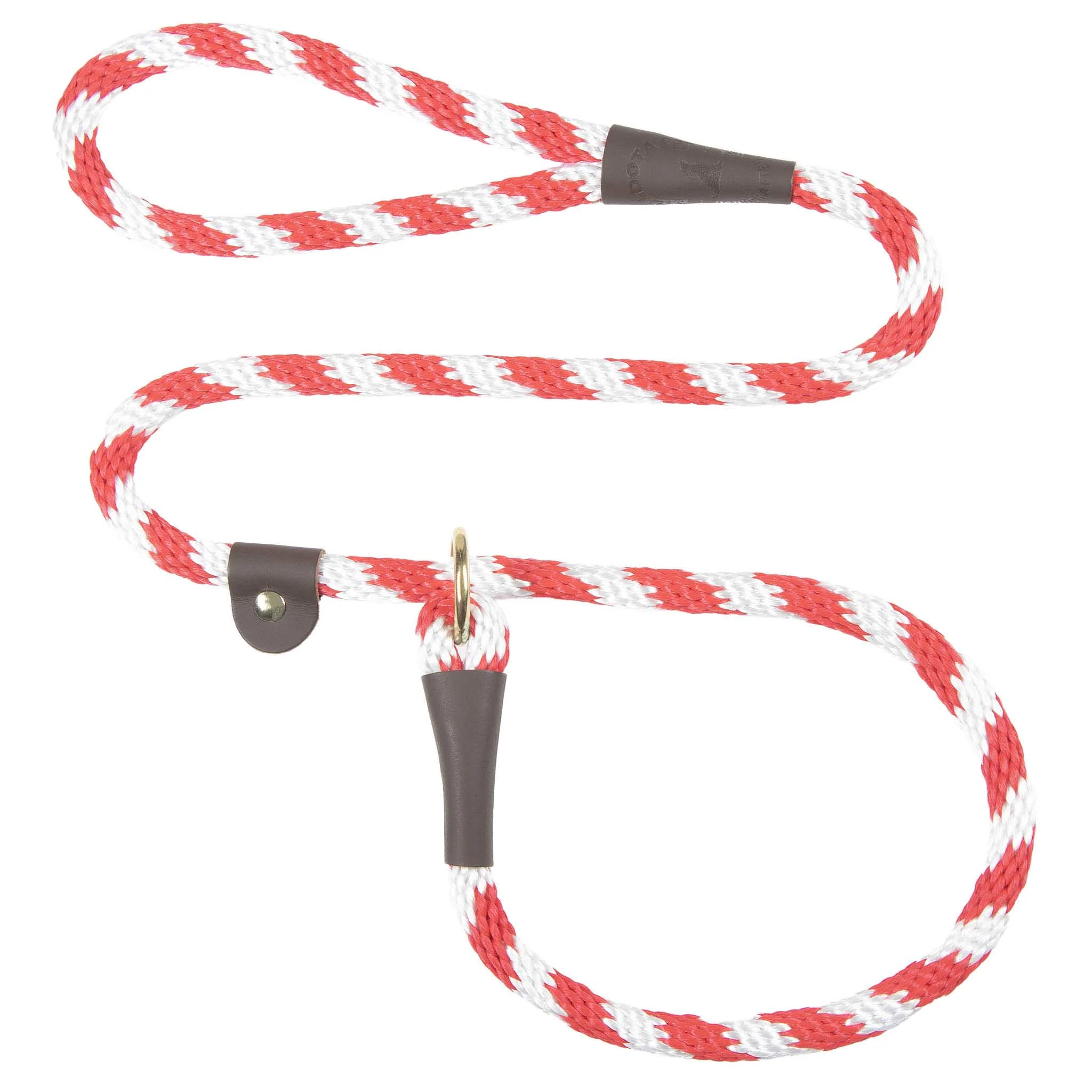 Holiday/Seasonal Fun Leashes - Image 23