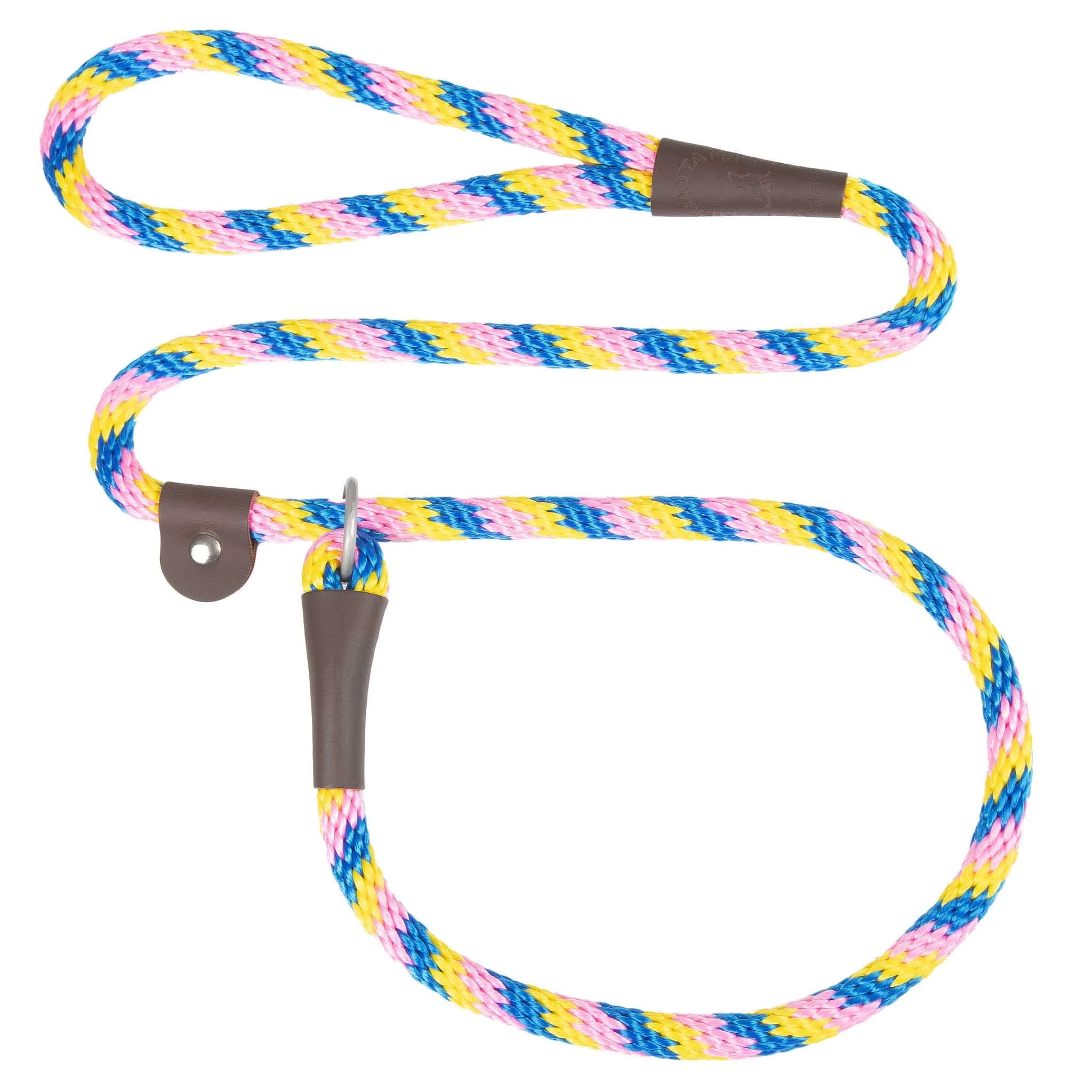 Holiday/Seasonal Fun Leashes - Image 25