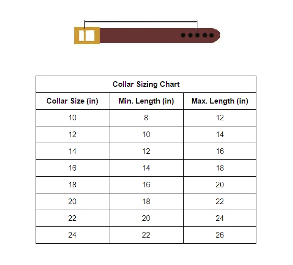 Leather Standard Collar - Chestnut - Image 3