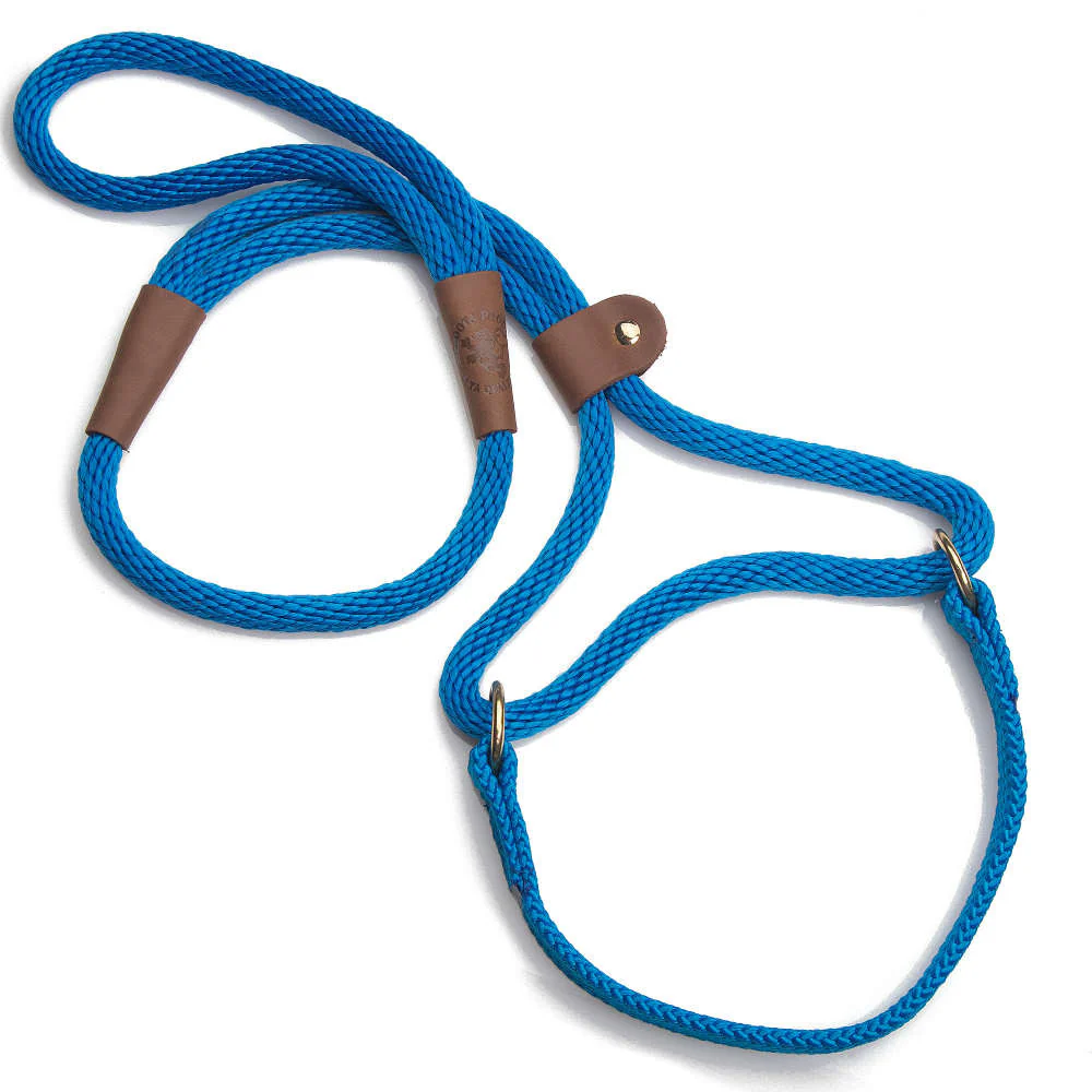 Mendota Dog Walker - Large 1/2 inch - Image 4