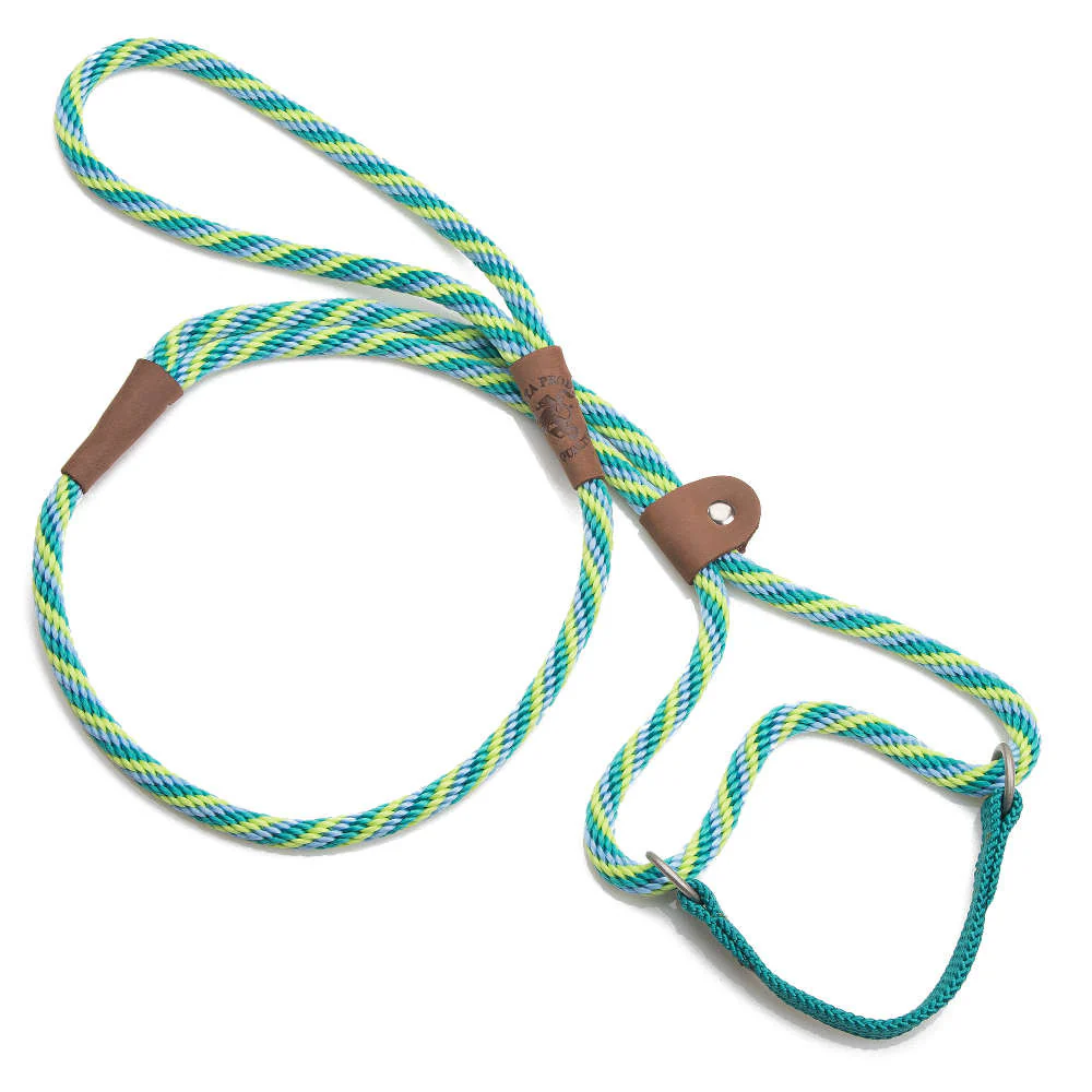 Mendota Dog Walker - Small 3/8 inch - Image 20