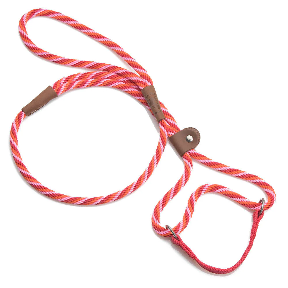 Mendota Dog Walker - Small 3/8 inch - Image 22