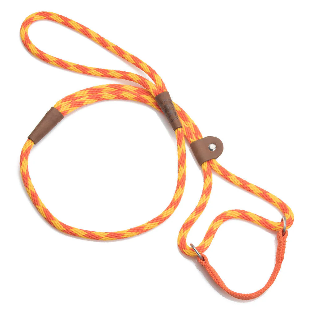 Mendota Dog Walker - Small 3/8 inch - Image 25