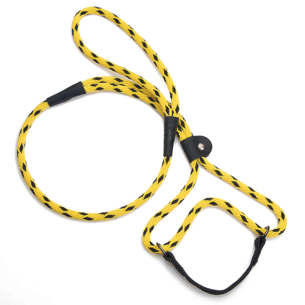 Mendota Dog Walker - Small 3/8 inch - Image 34