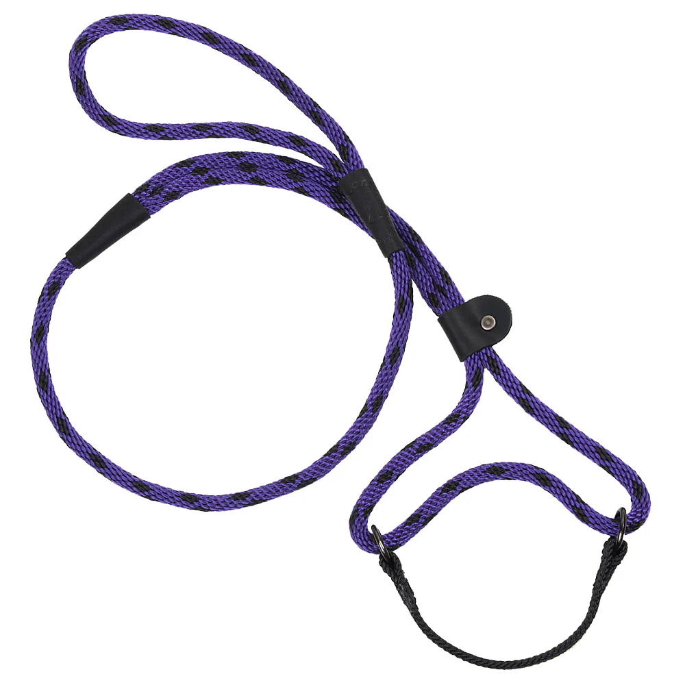 Mendota Dog Walker - Small 3/8 inch - Image 36