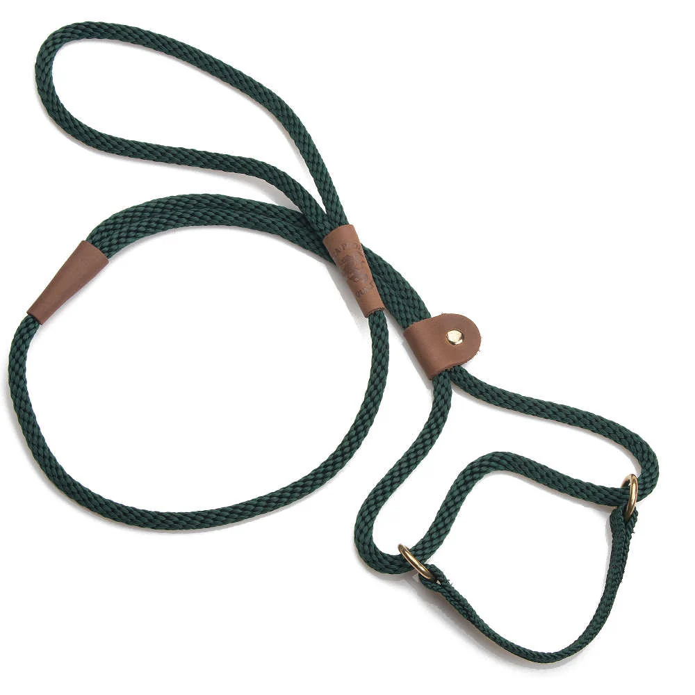 Mendota Dog Walker - Small 3/8 inch - Image 6