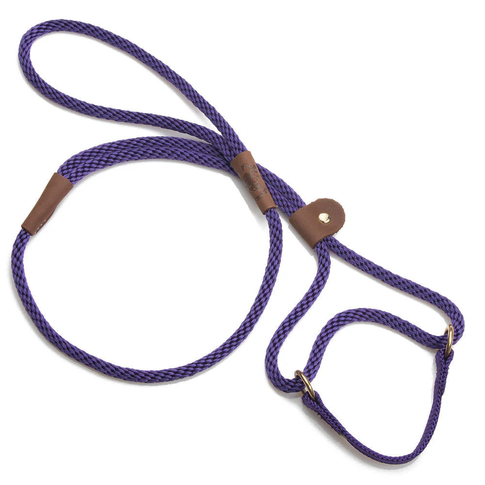 Mendota Dog Walker - Small 3/8 inch - Image 8